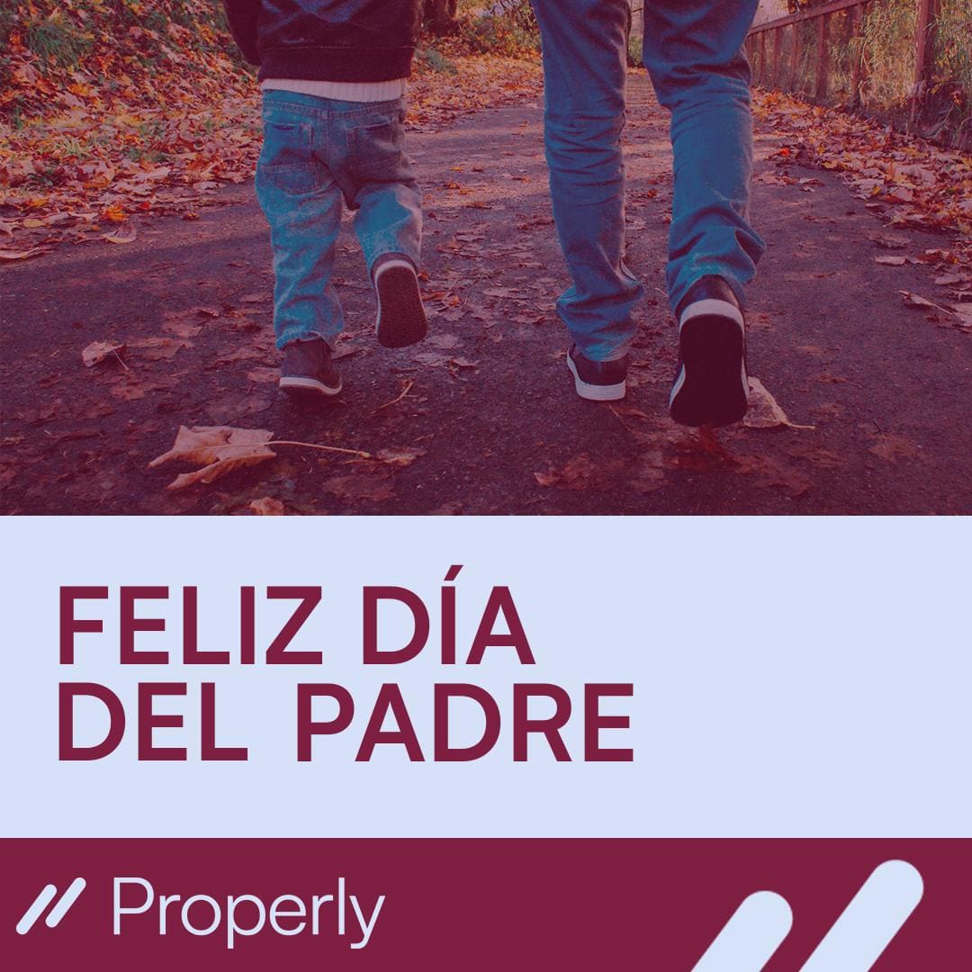 Producto 2